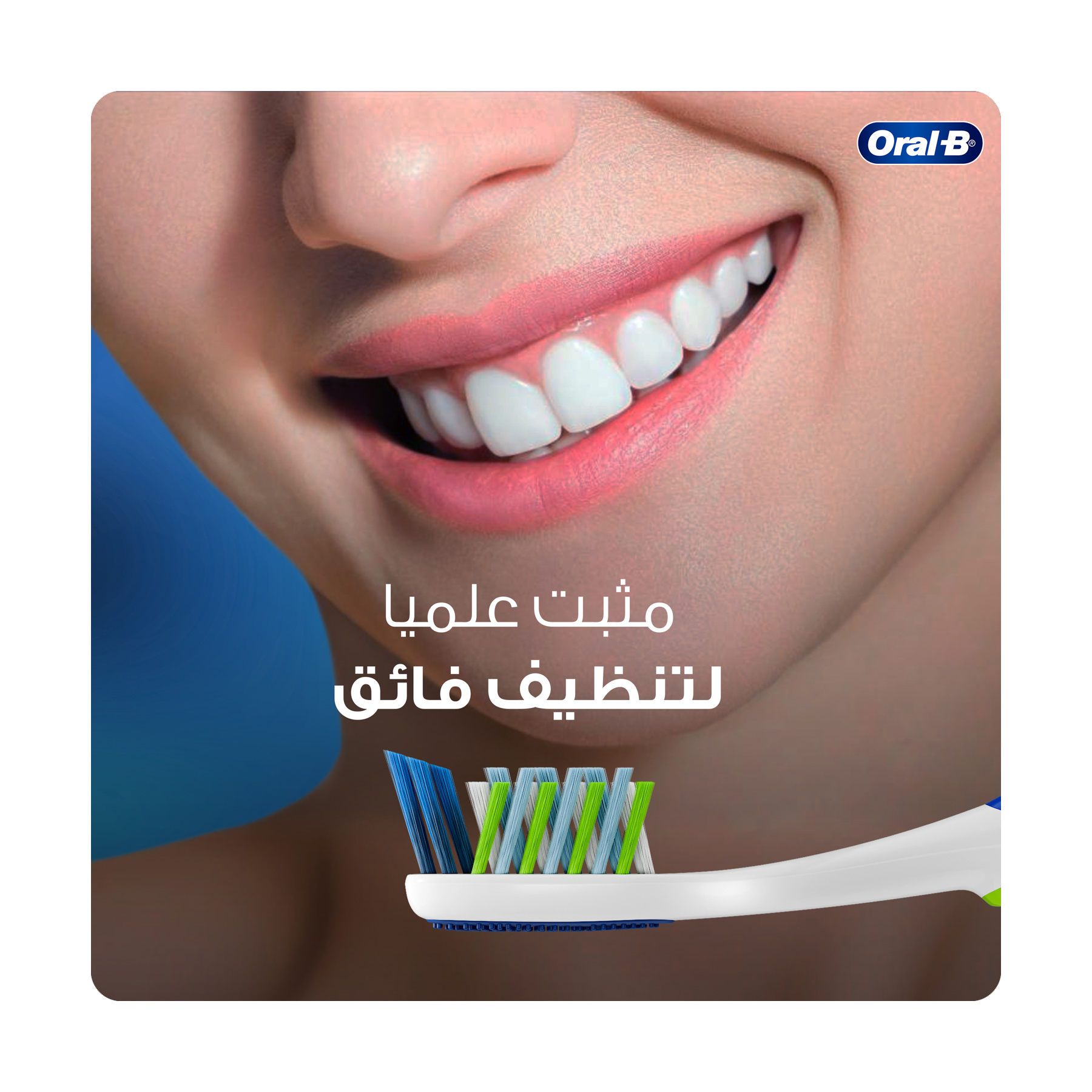 صورة 5