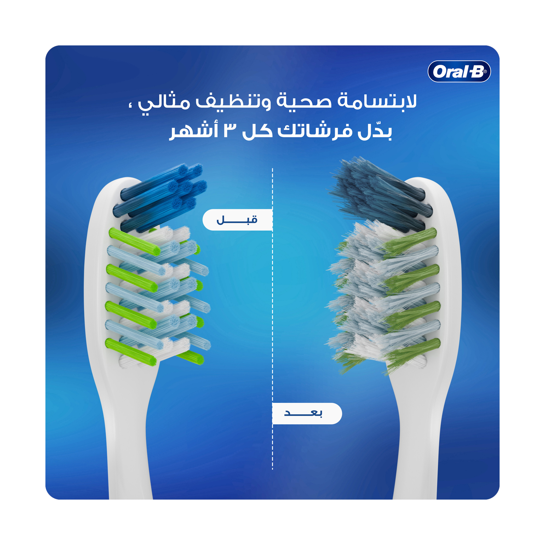 صورة 6