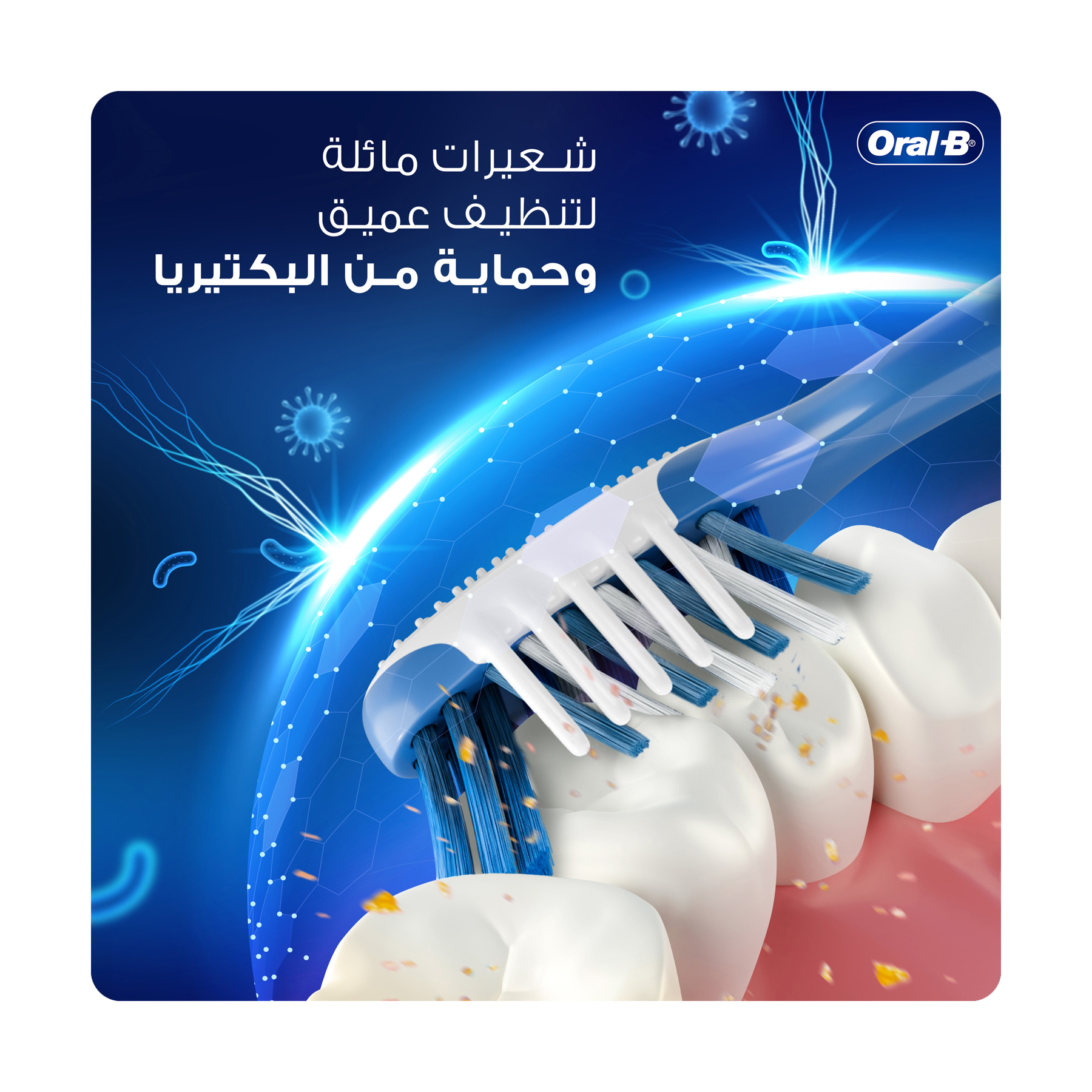 صورة 3