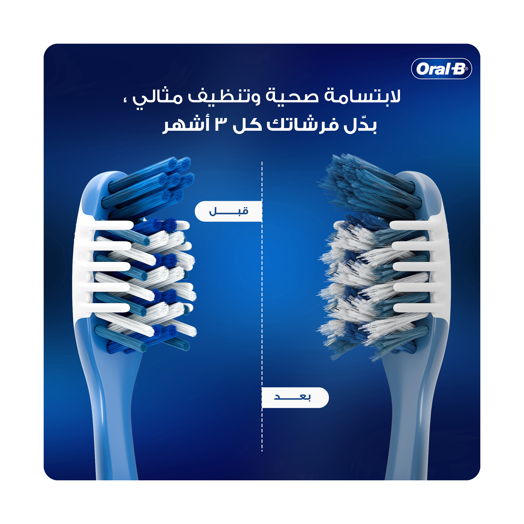 صورة 5