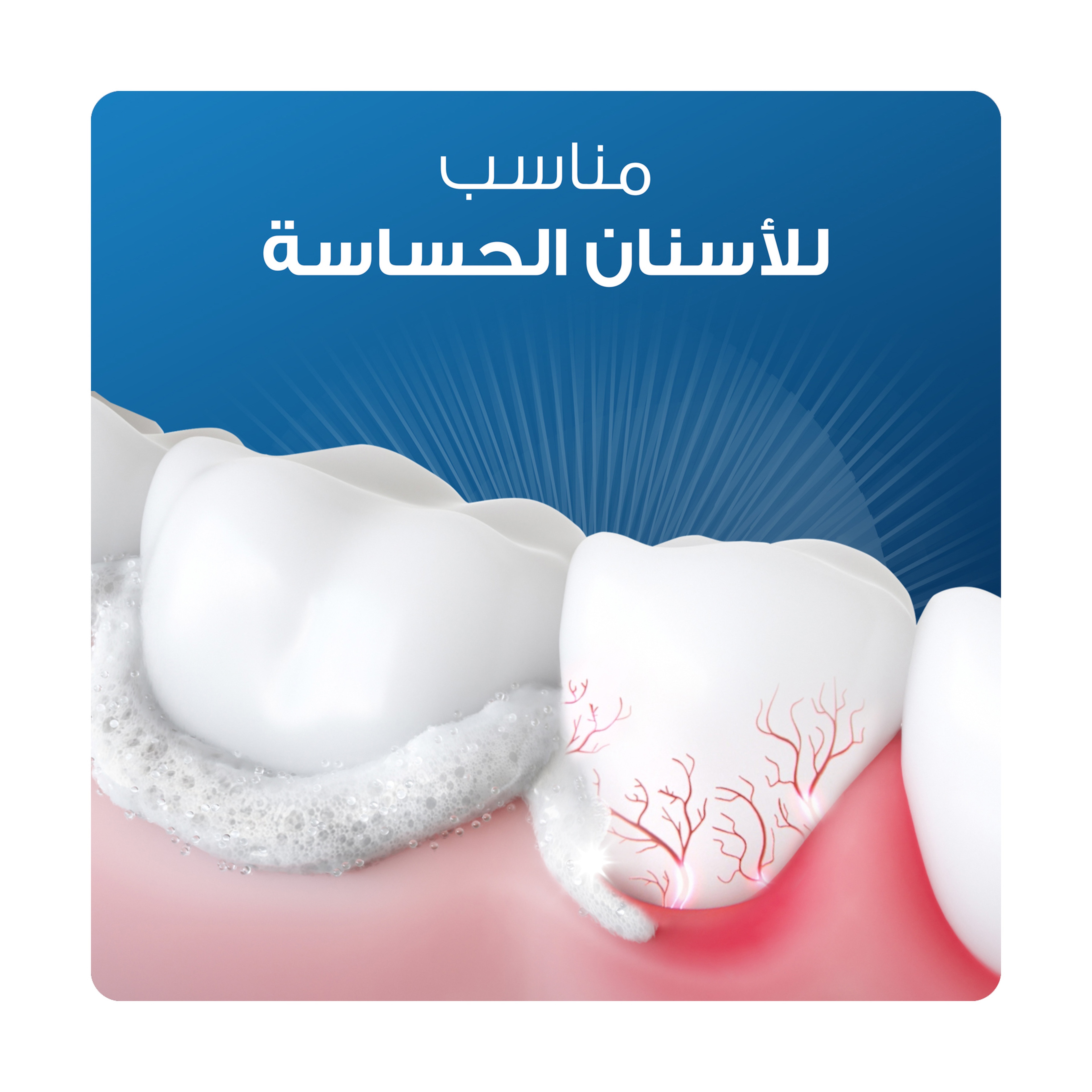 Oral-B Original Gum & Enamel Repair Toothpaste - 75Ml