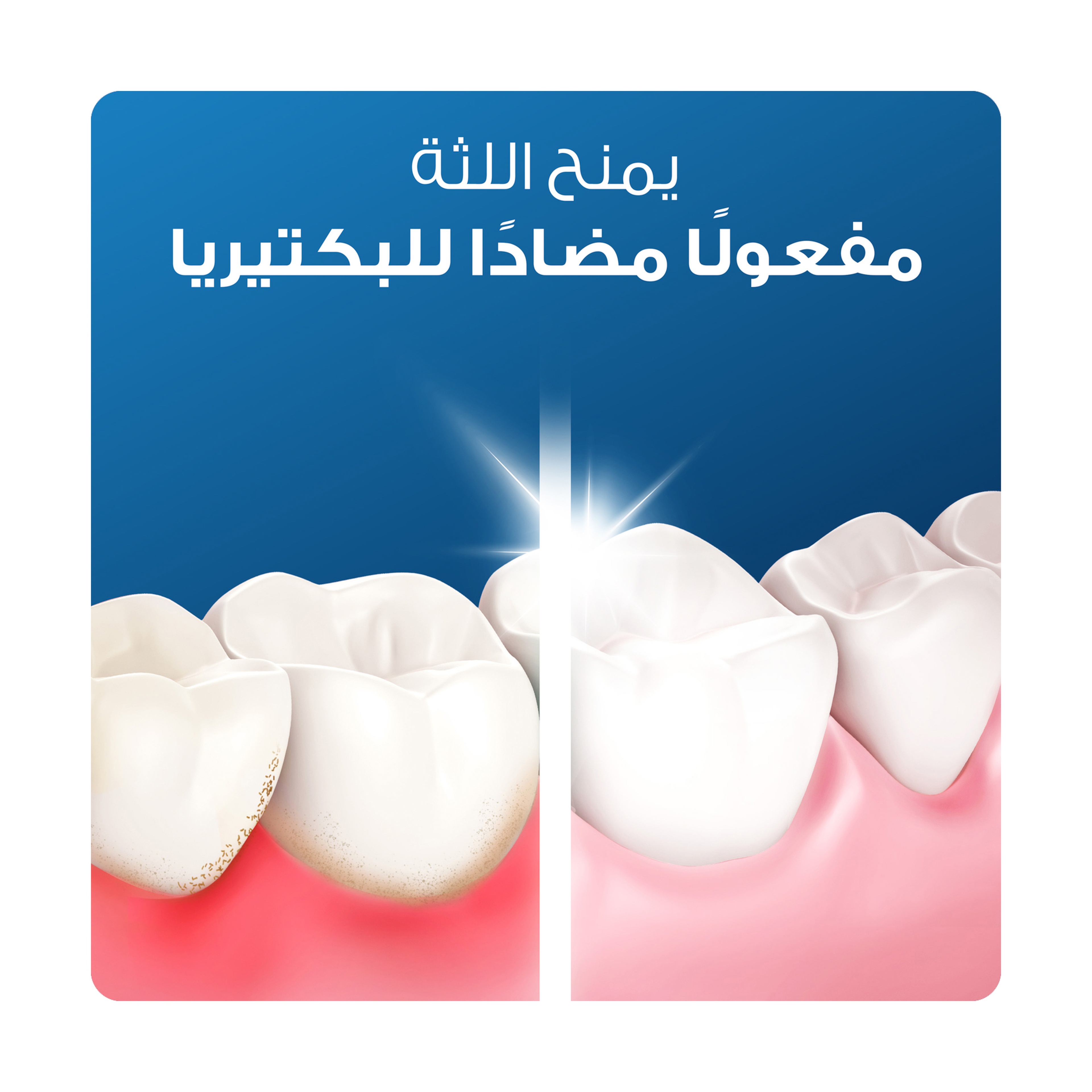 Oral-B Original Gum & Enamel Repair Toothpaste - 75Ml