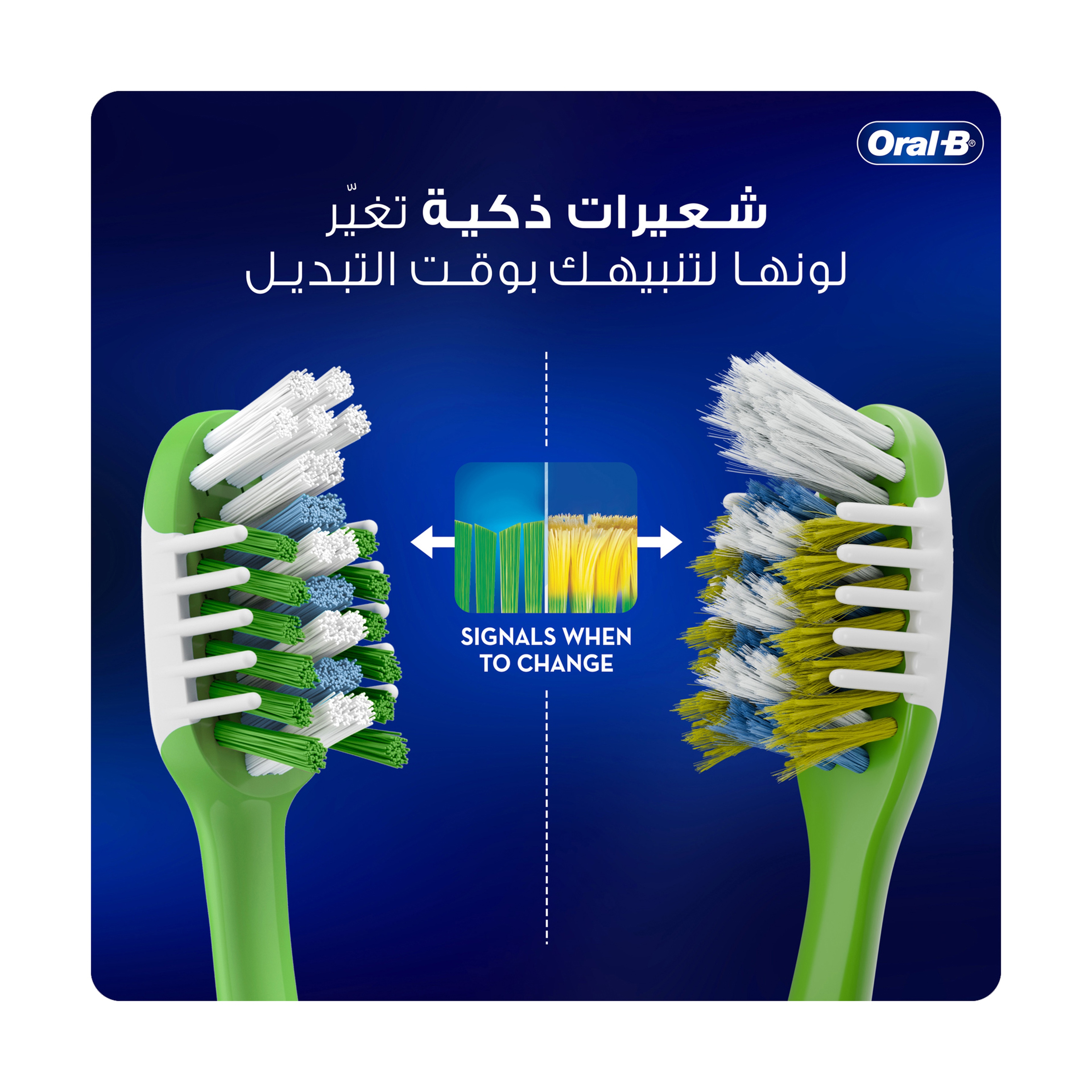 اورال بى ماكس كلين انديكيتور ناعم 1+1
