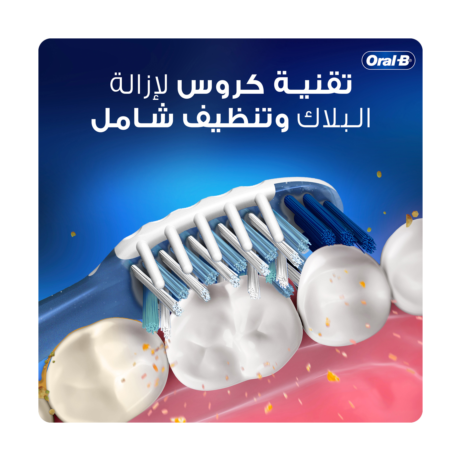 صورة 3