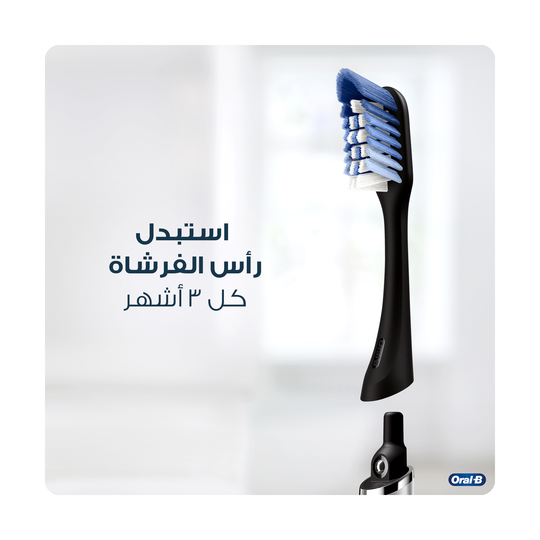صورة 5