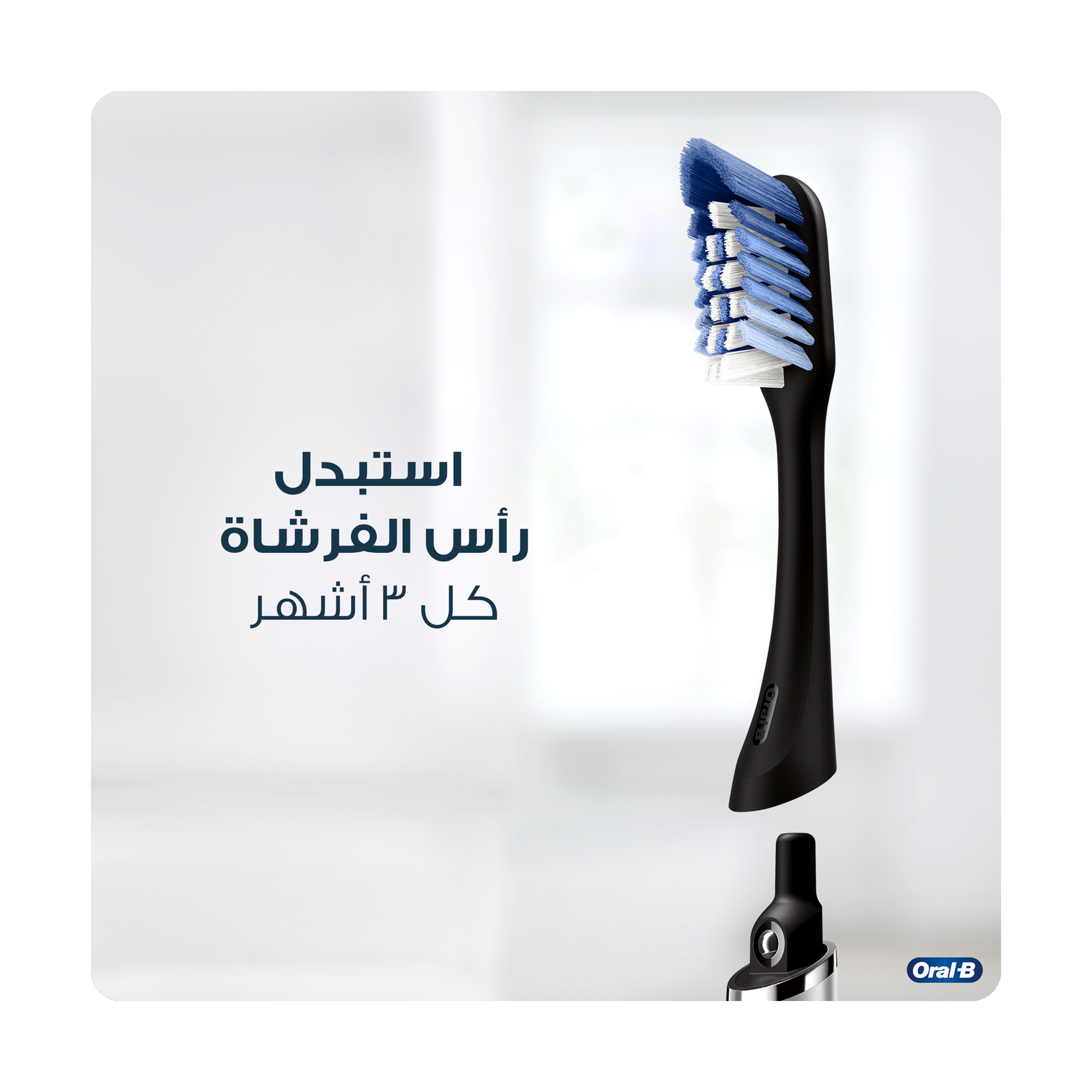 اورال بي كليك غيار لفرش الاسنان