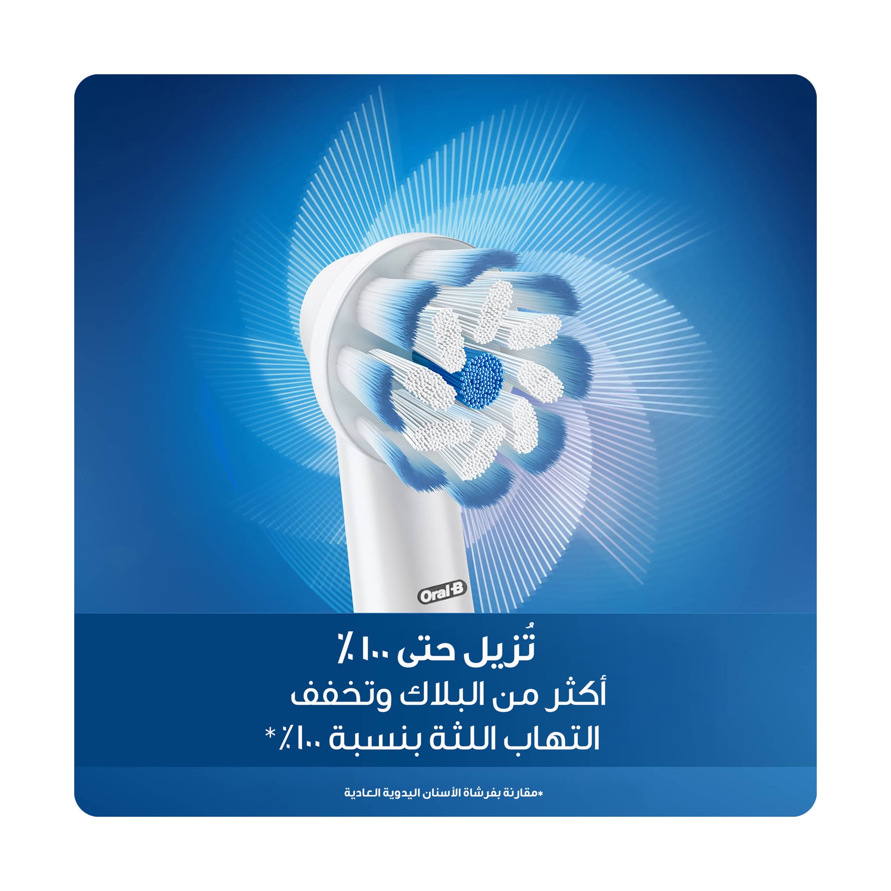 صورة 3