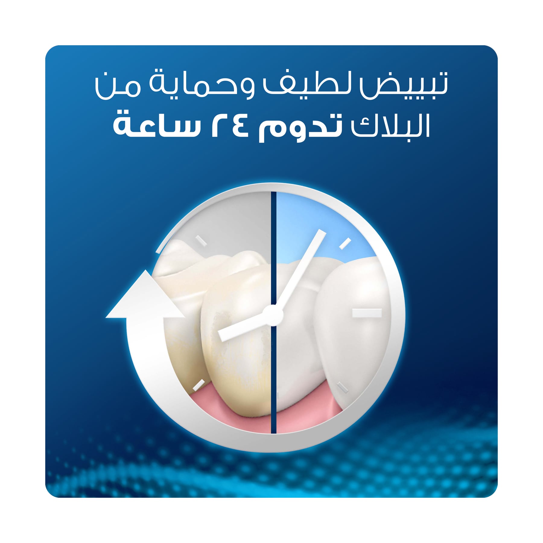 صورة 4