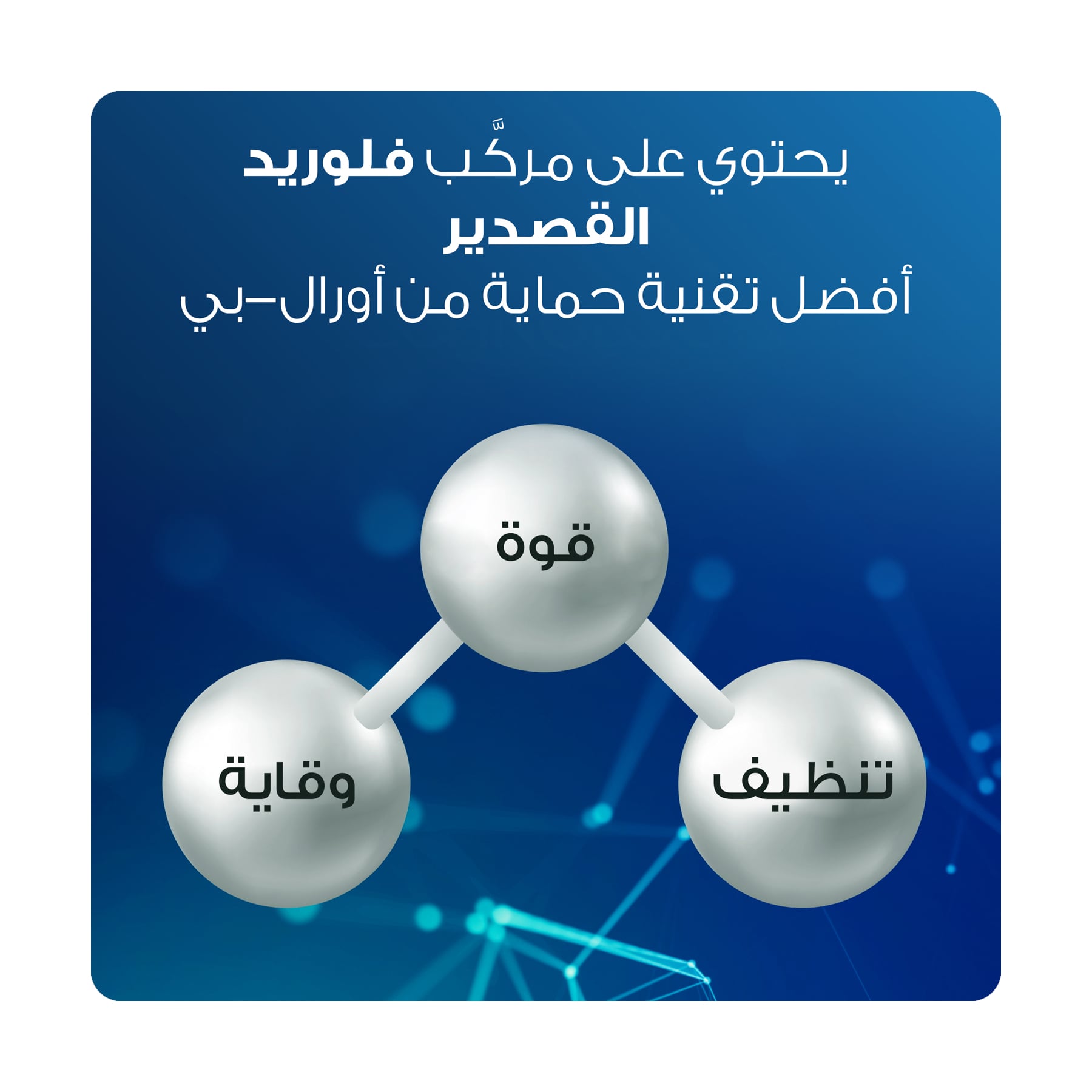 صورة 6