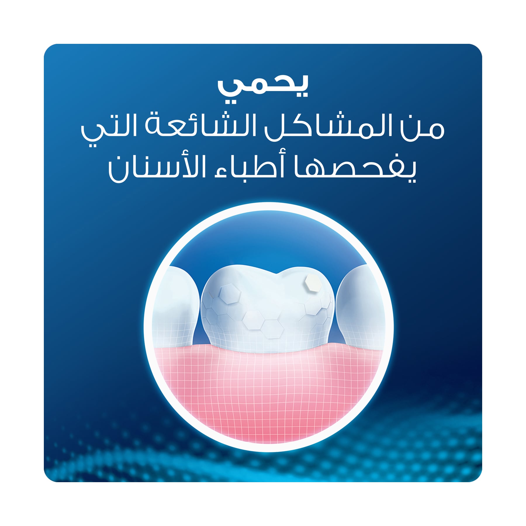 صورة 5