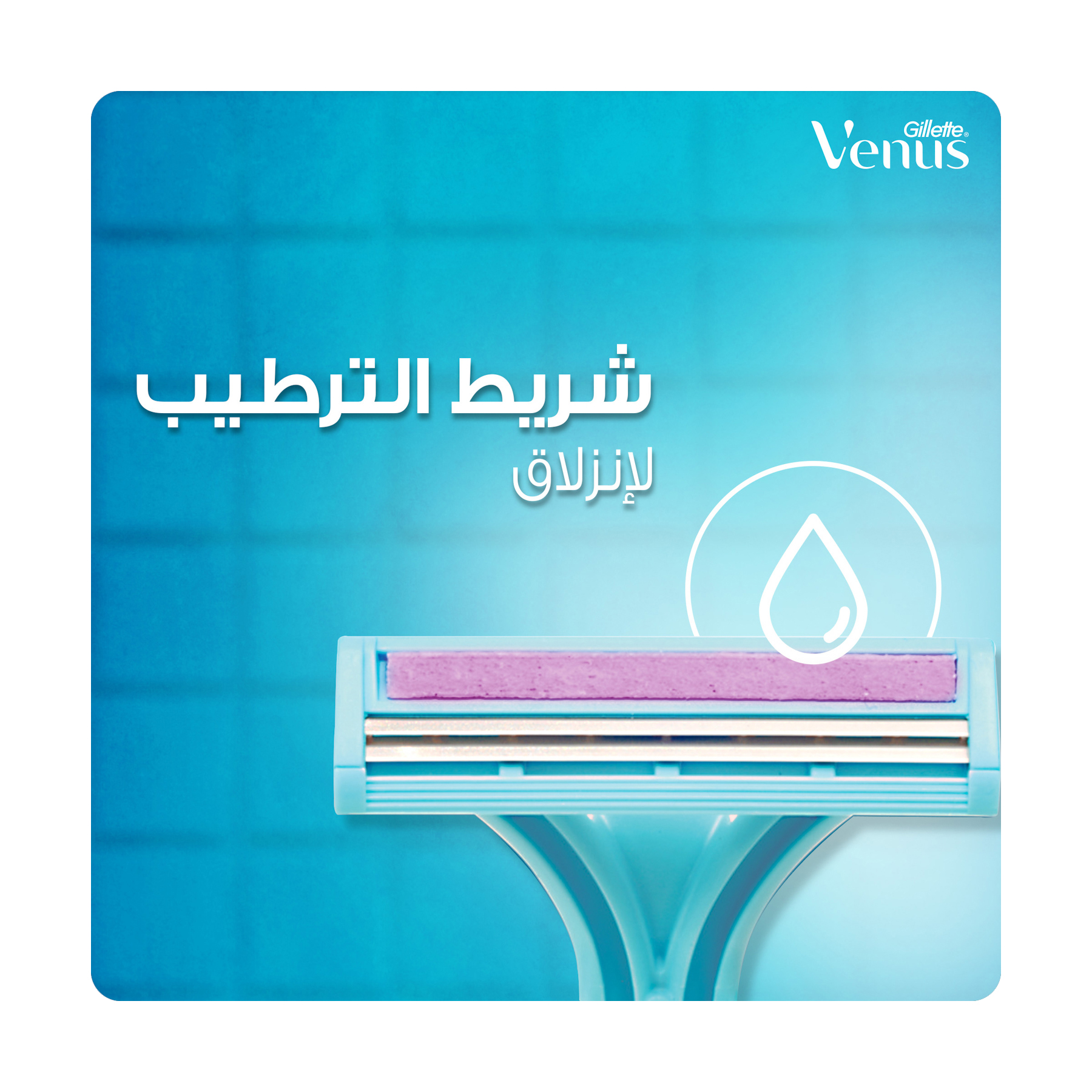 صورة 3