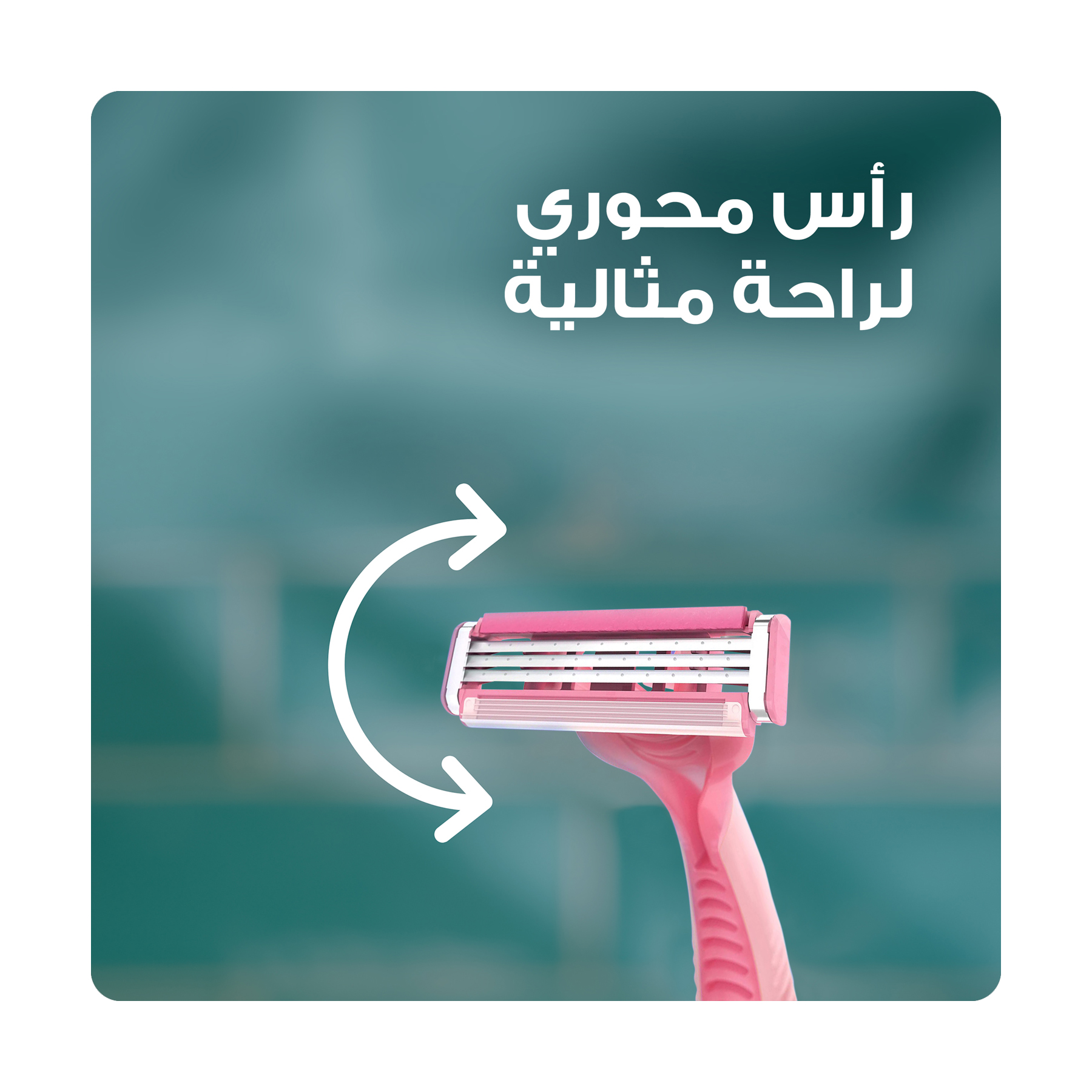 صورة 4