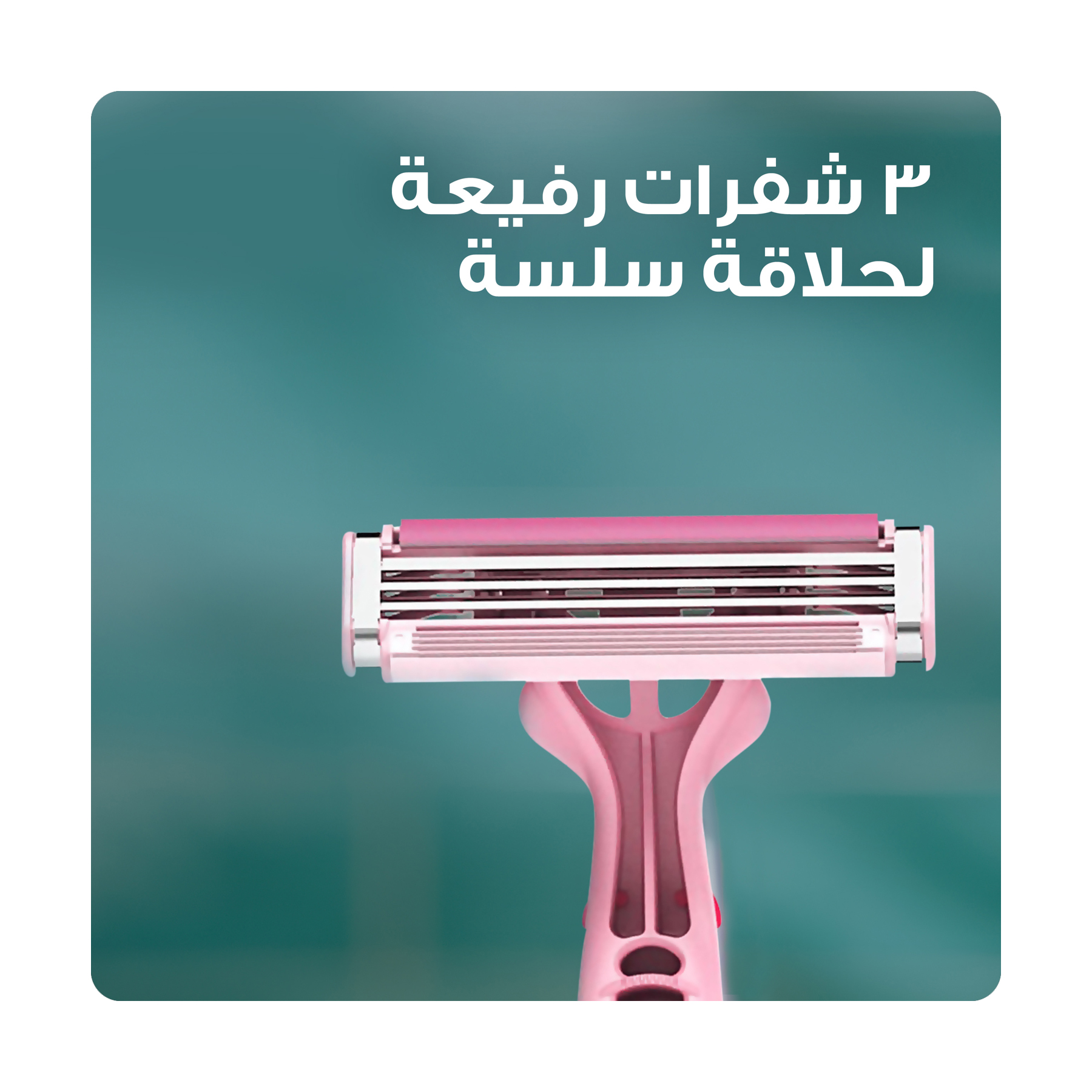 صورة 3