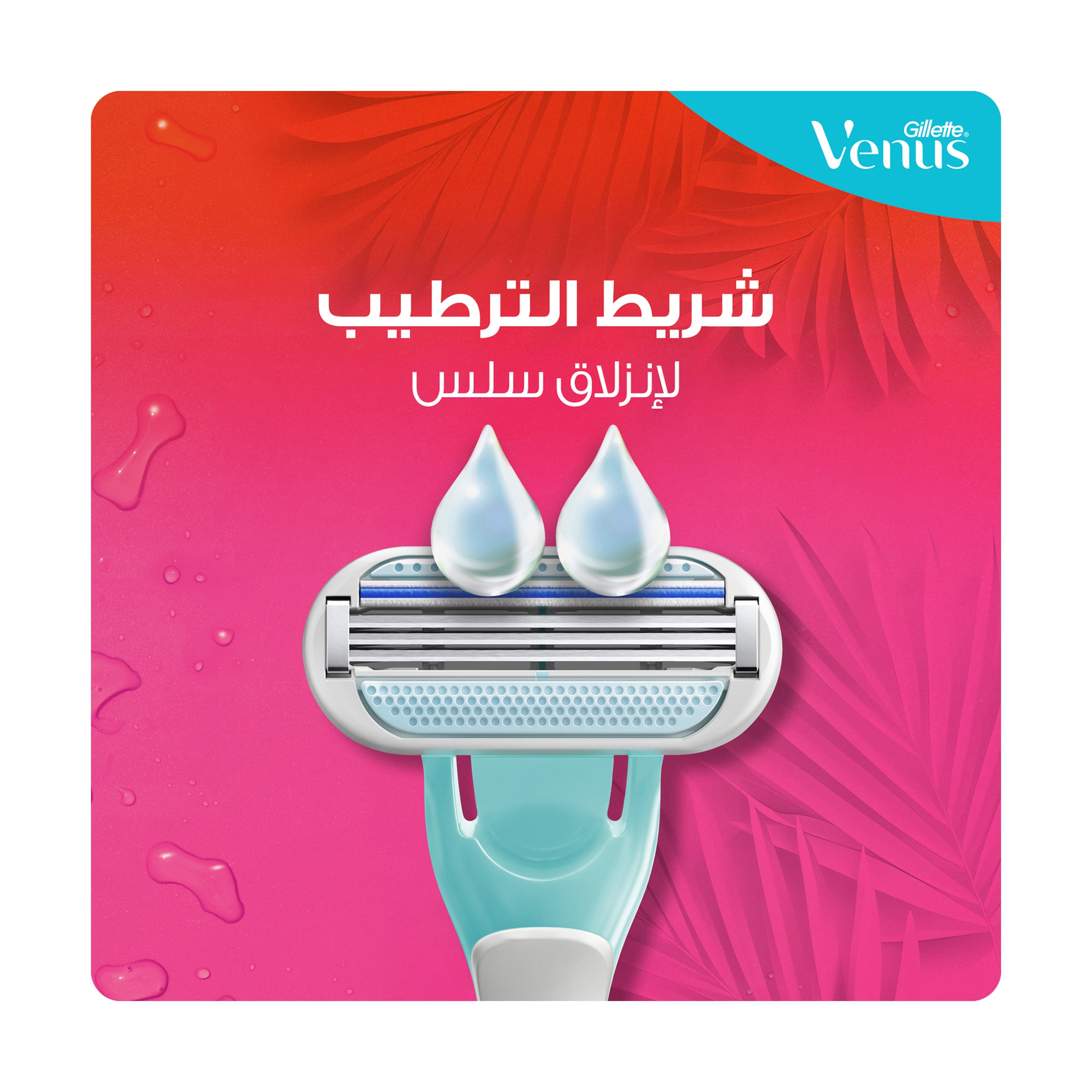 Venus Gillette Tropical Disposable Razor, 4+2