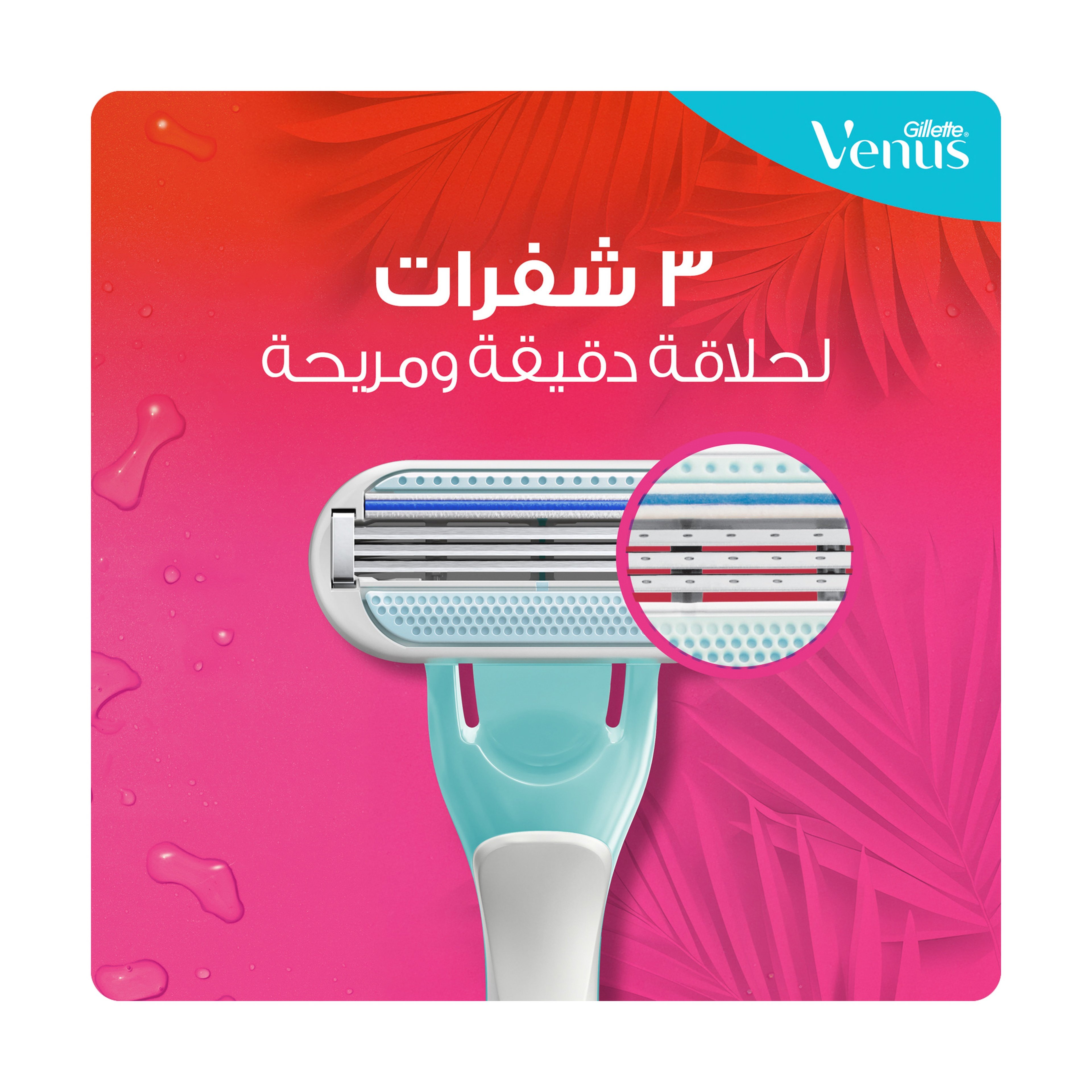 Venus Gillette Tropical Disposable Razor, 4+2