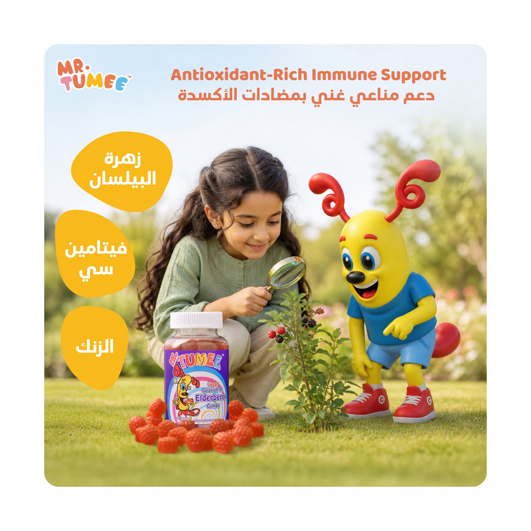 صورة 3
