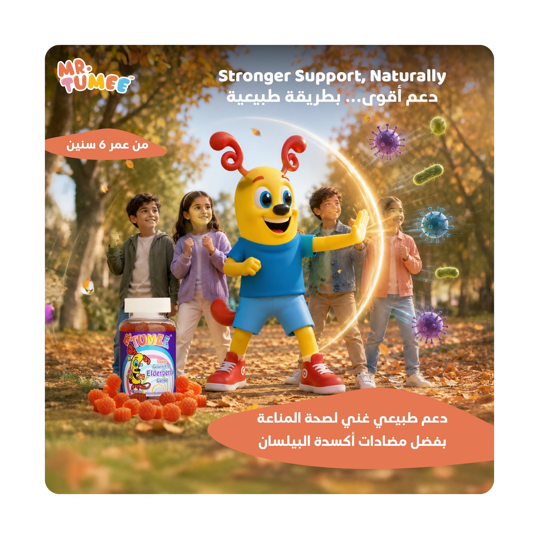 صورة 2