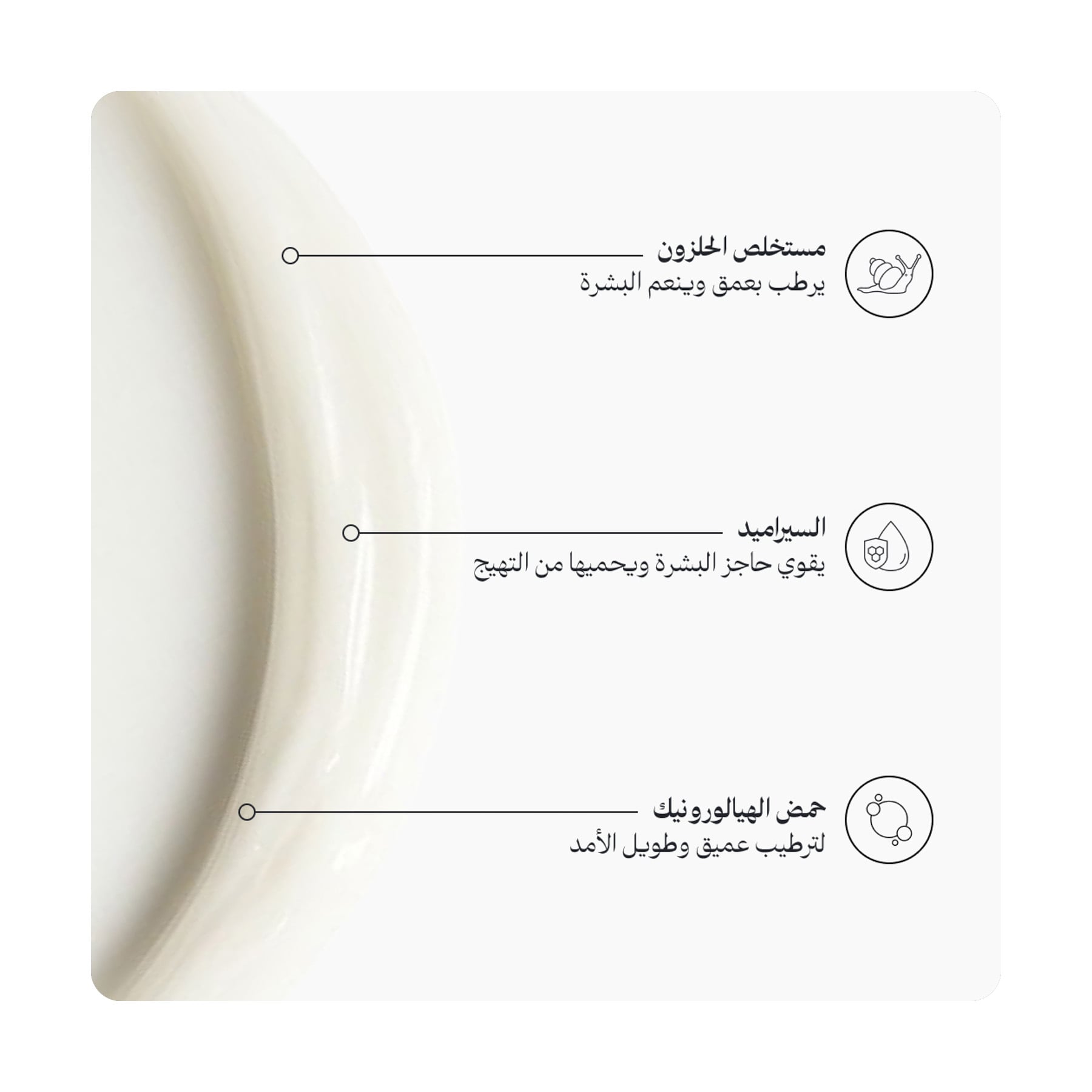 صورة 3