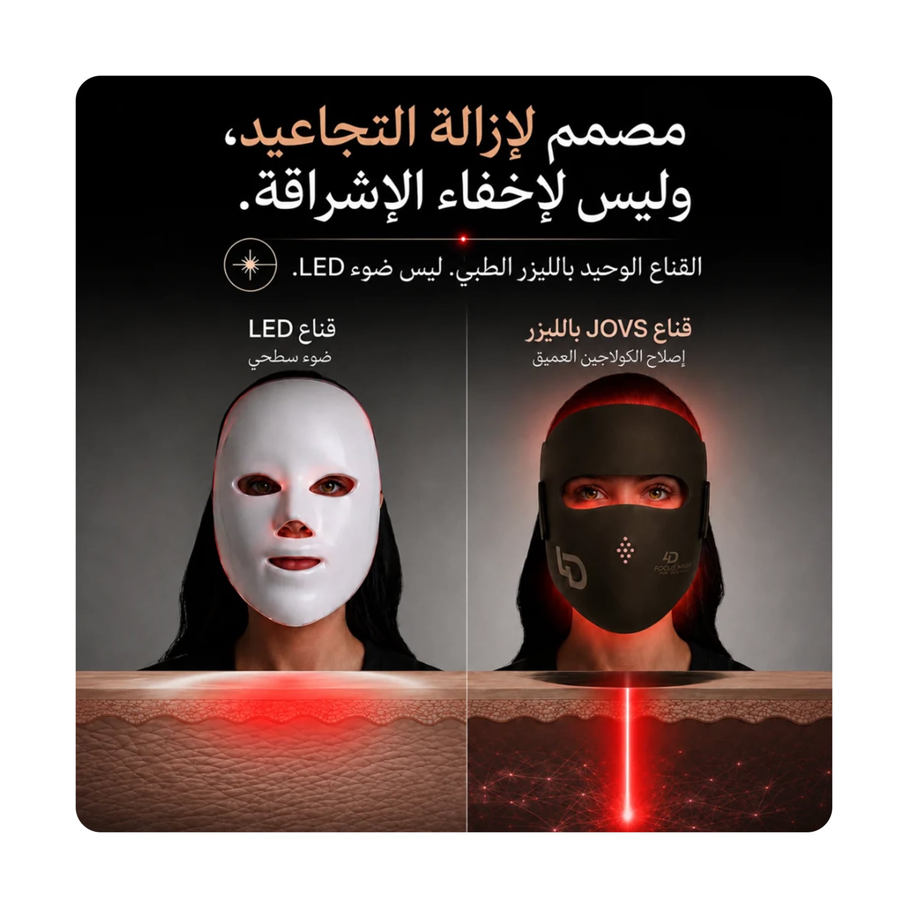 صورة 2