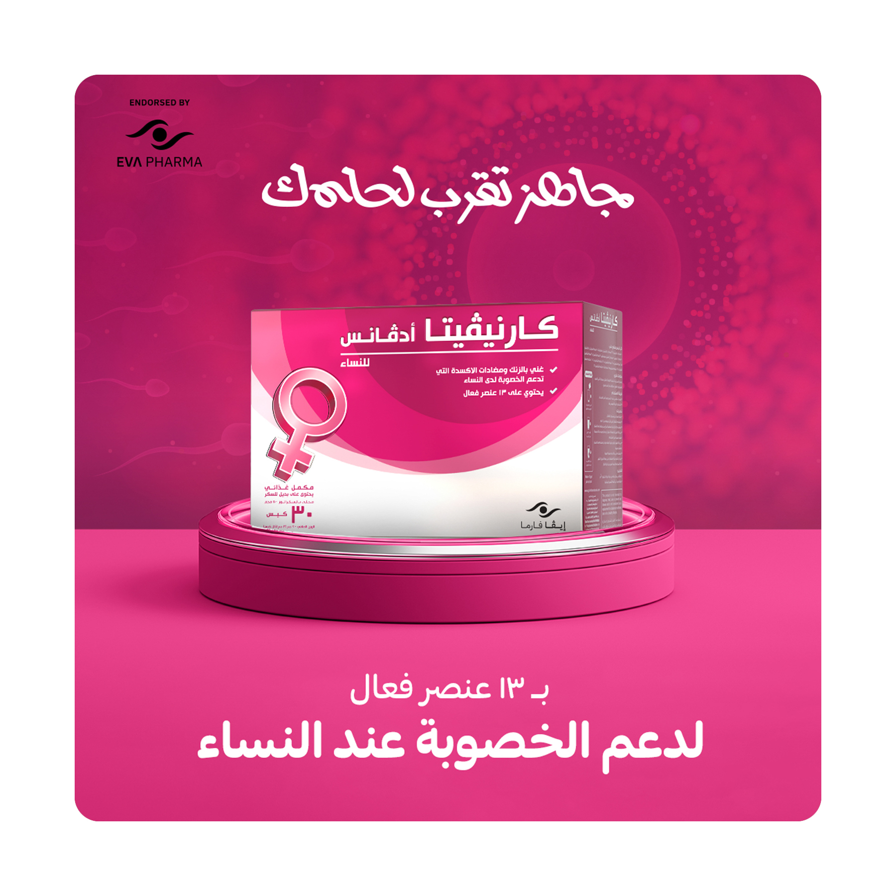 صورة 6